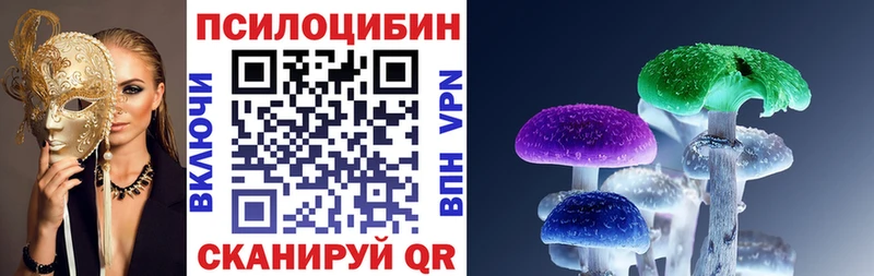 как найти закладки  Янаул  Галлюциногенные грибы Psilocybe 