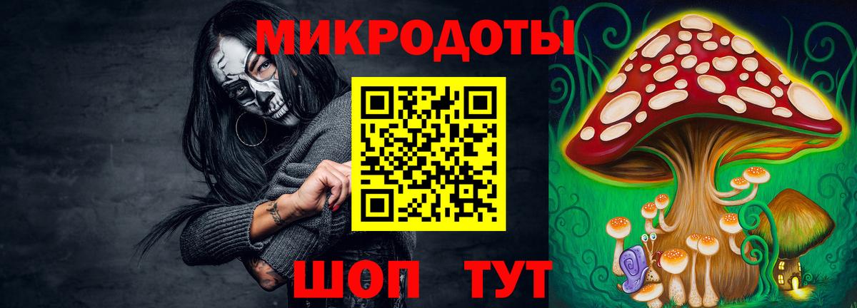 Псилоцибиновые грибы Psilocybine cubensis Янаул
