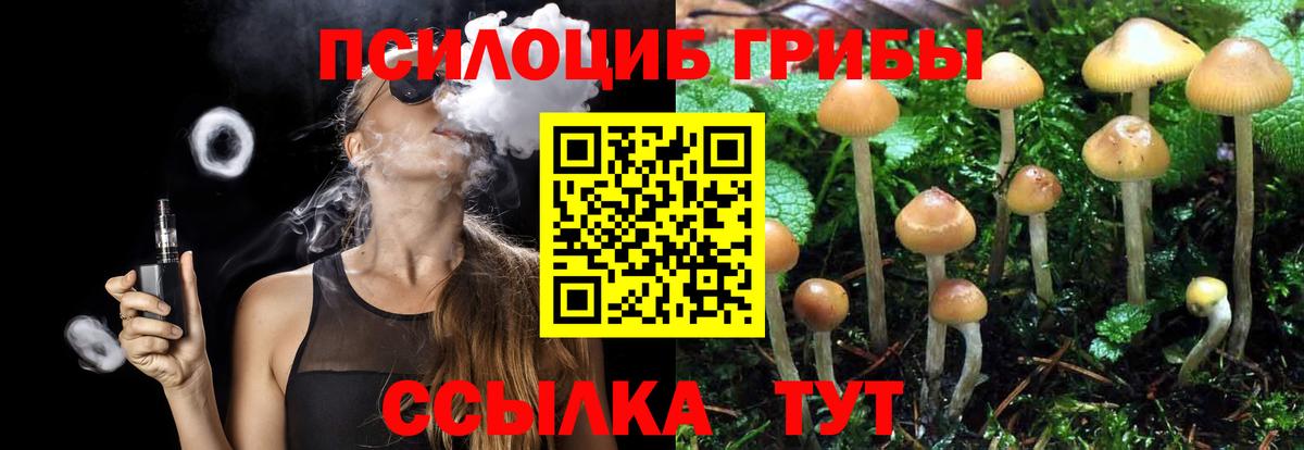 Псилоцибиновые грибы Psilocybine cubensis  Вход с VPN  сколько стоит  Янаул 